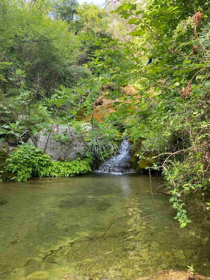 Holiday Home Pavle Rijeka Crnojevića エクステリア 写真